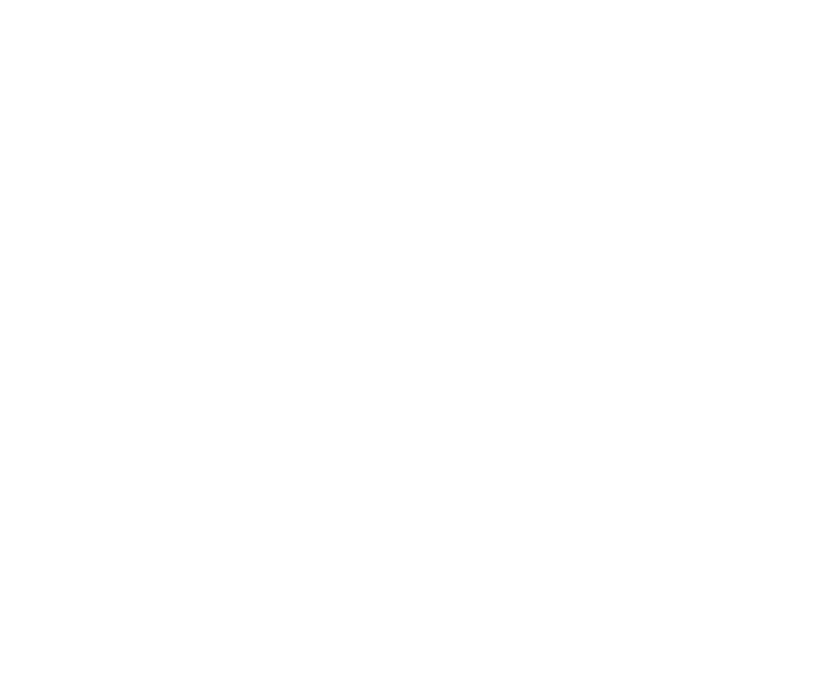 VINE LUXURY HAIR EXTENSIONS