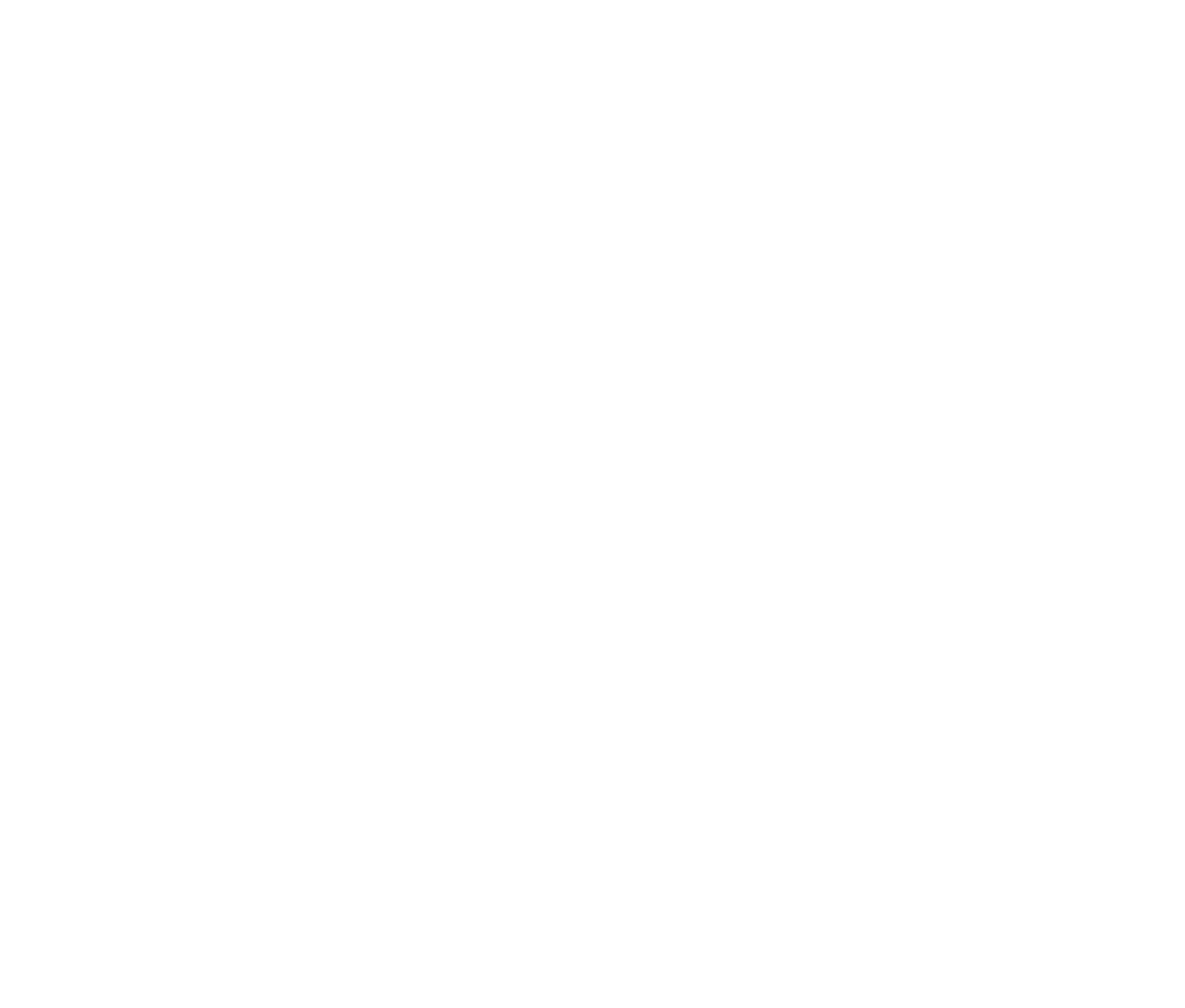 VINE LUXURY HAIR EXTENSIONS